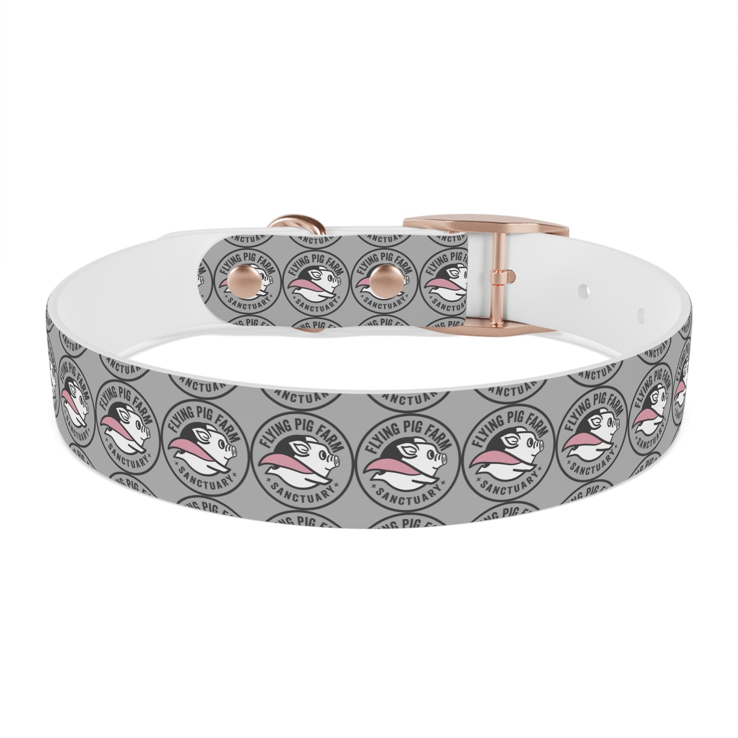 Flying Pig Farm Sanctuary Dog Collar