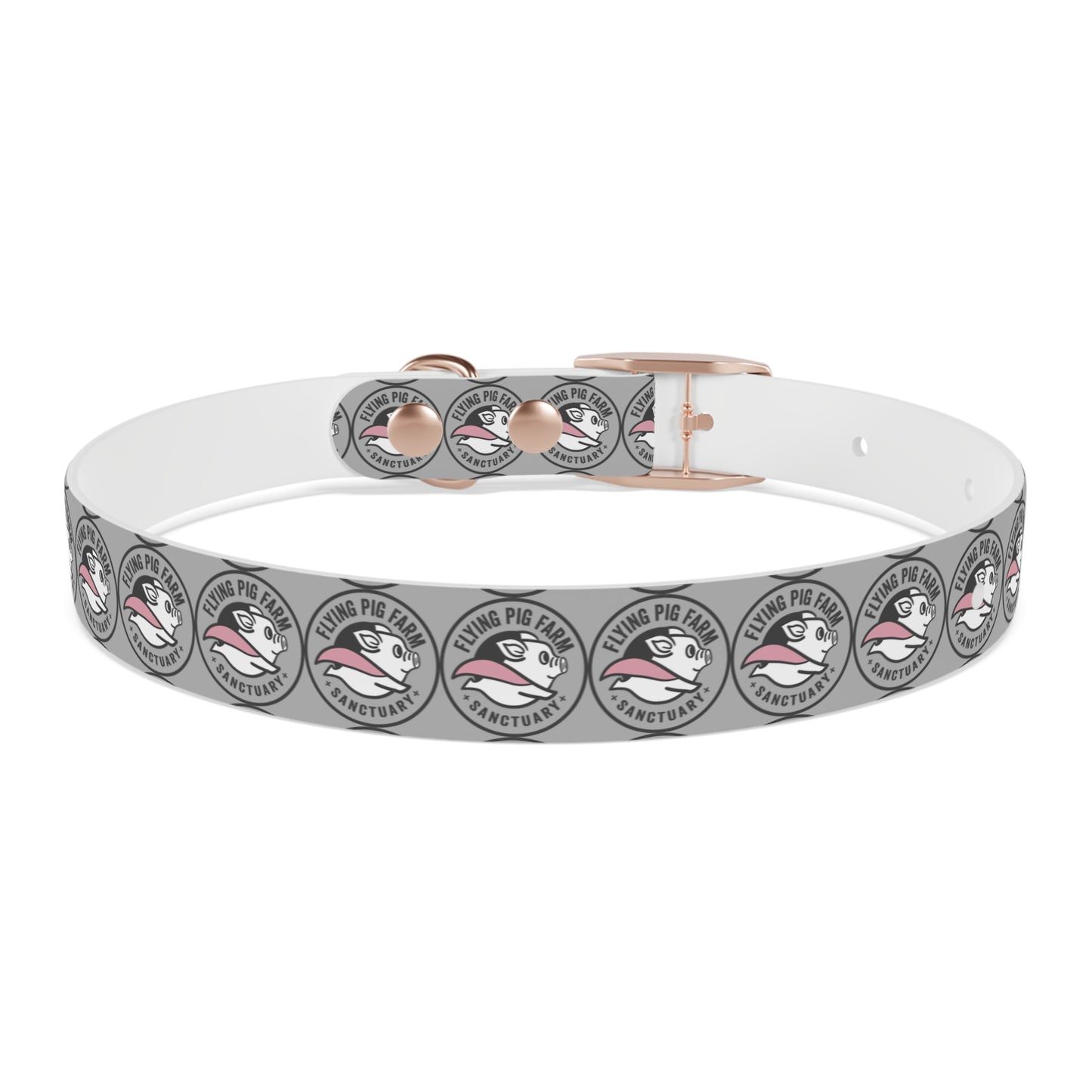 Flying Pig Farm Sanctuary Dog Collar