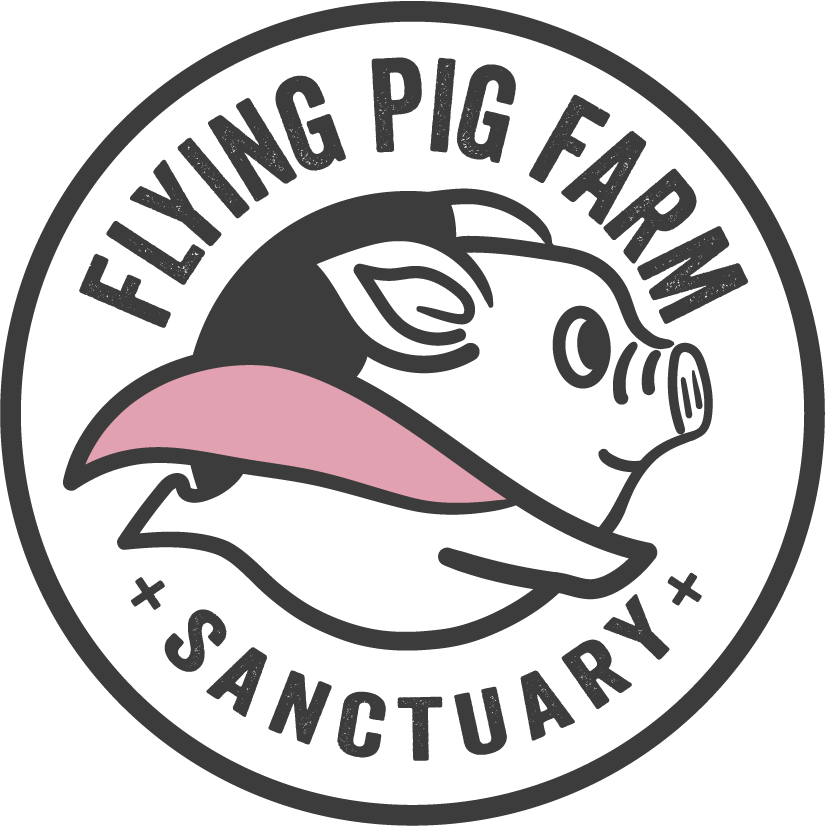 Flying Pig Farm Sanctuary