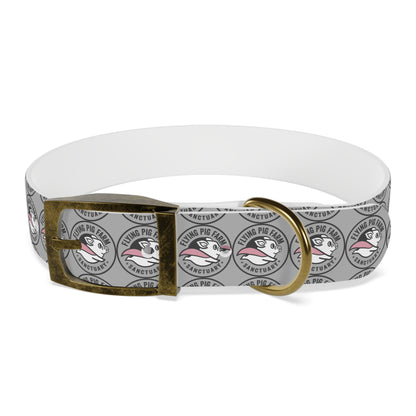 Flying Pig Farm Sanctuary Dog Collar