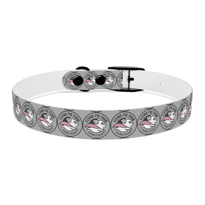 Flying Pig Farm Sanctuary Dog Collar