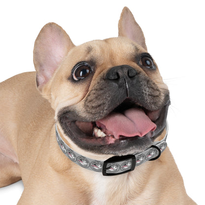 Flying Pig Farm Sanctuary Dog Collar