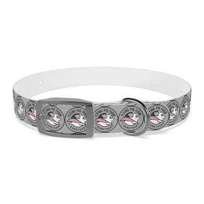 Flying Pig Farm Sanctuary Dog Collar