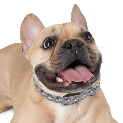 Flying Pig Farm Sanctuary Dog Collar