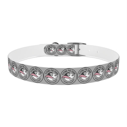 Flying Pig Farm Sanctuary Dog Collar