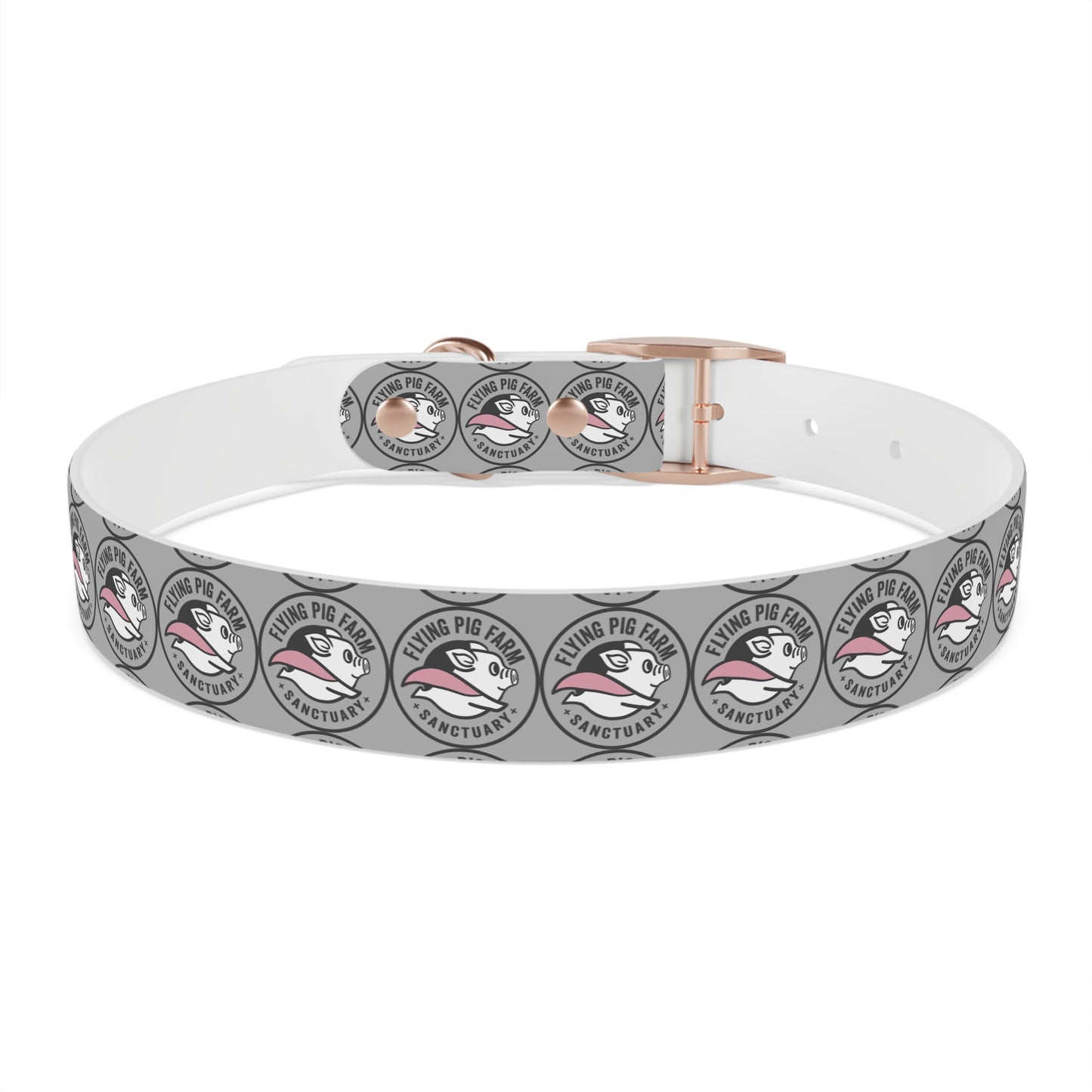 Flying Pig Farm Sanctuary Dog Collar