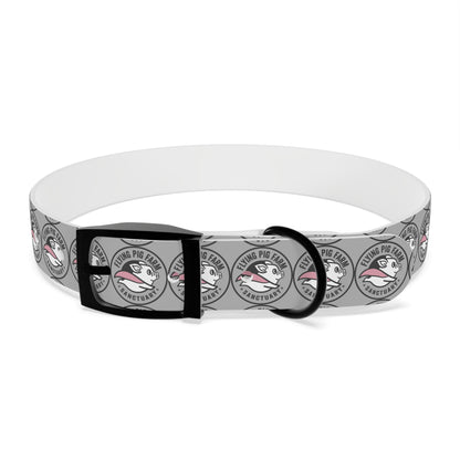 Flying Pig Farm Sanctuary Dog Collar