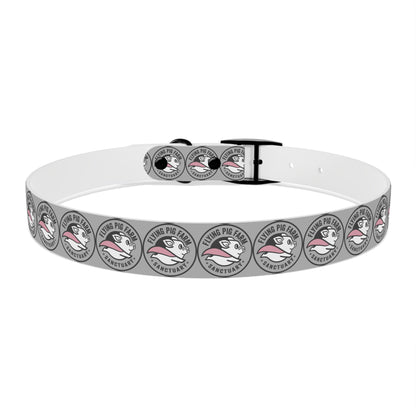 Flying Pig Farm Sanctuary Dog Collar